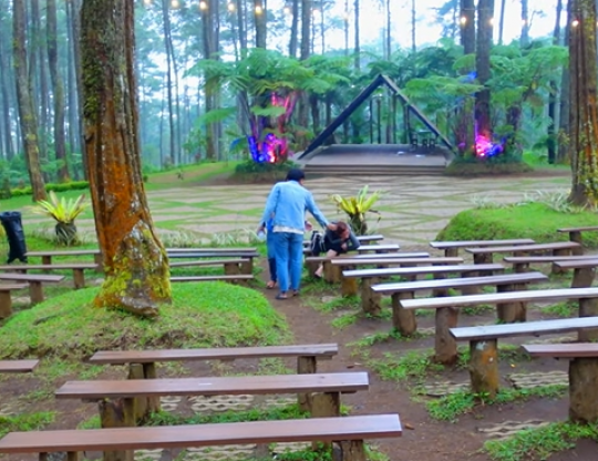 Wisata Seru Bukan Main di Golden Pine Orchid Forest Bandung, Ini Pesonanya