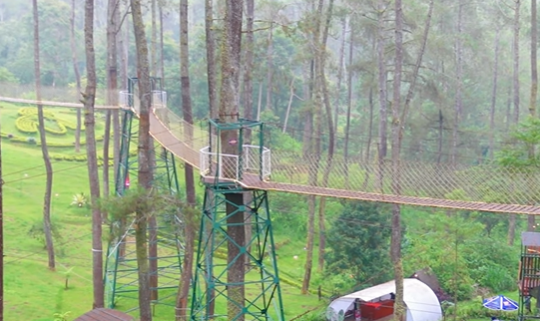 Wisata Seru Bukan Main di Golden Pine Orchid Forest Bandung, Ini Pesonanya