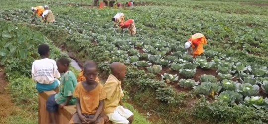 Potret Kehidupan Masyarakat Burundi, Disebut Jadi Negara Termiskin di Dunia