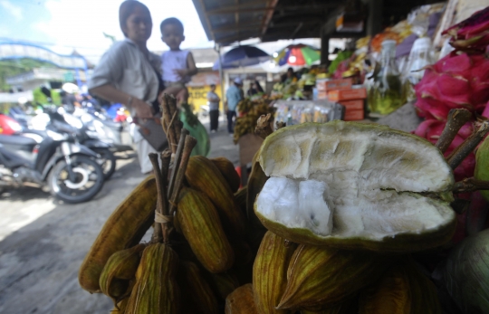 Mencicipi Cita Rasa Unik Buah Salju yang Hanya Ada di Bedugul Bali