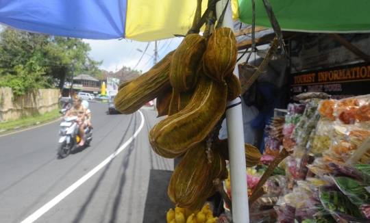 Mencicipi Cita Rasa Unik Buah Salju yang Hanya Ada di Bedugul Bali