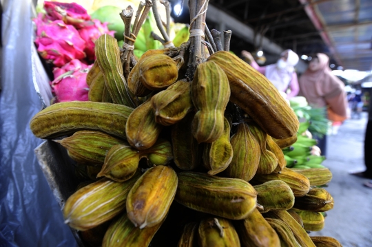 Mencicipi Cita Rasa Unik Buah Salju yang Hanya Ada di Bedugul Bali