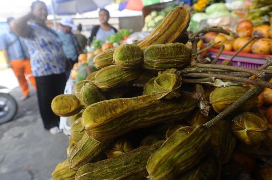 Mencicipi Cita Rasa Unik Buah Salju yang Hanya Ada di Bedugul Bali