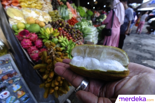 Mencicipi Cita Rasa Unik Buah Salju yang Hanya Ada di Bedugul Bali