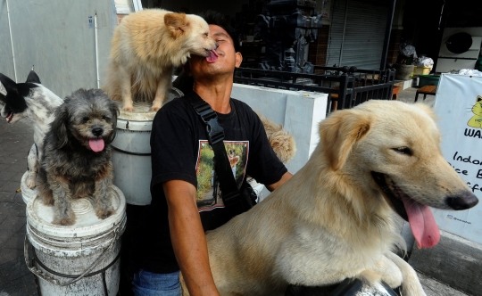 Kisah I Ketut Lelut dengan Anjing-Anjingnya Keliling Jalan Memburu Limbah Restoran