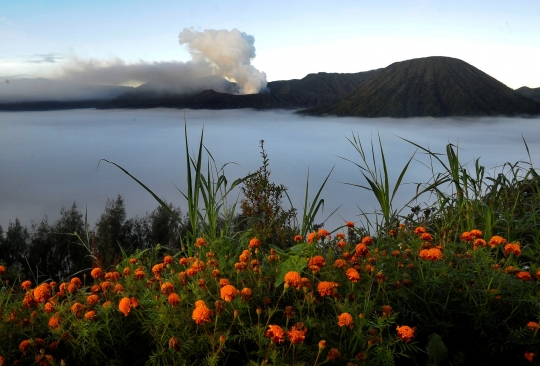 Keindahan Kaldera Bromo saat Kabut Tebal