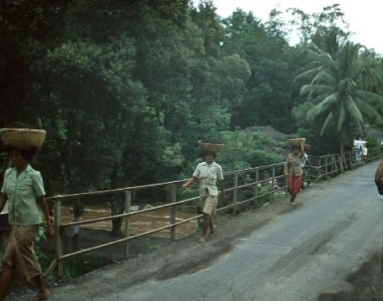 Melihat Kilas Balik Bali Tahun 1977, Suasana Sejuknya Bikin Rindu, Ini Penampakannya