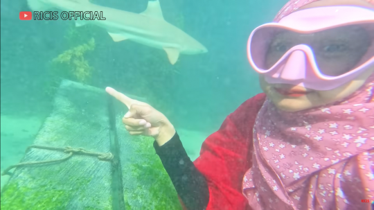 Momen Menegangkan Ria Ricis Renang Bareng Hiu di Karimunjawa, Bikin Deg-degan