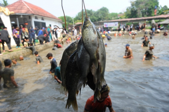 Antusiasme Warga Ngubek Empang di Depok