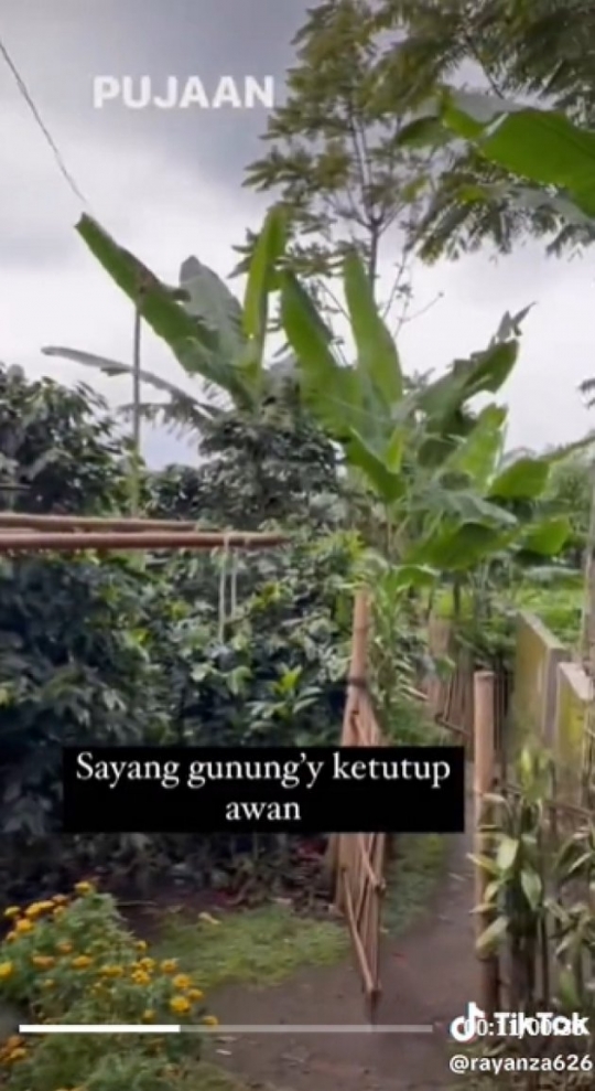 5 Potret Rumah Para Pengasuh Anak Artis, dari Mbak Lala hingga Sus Rini