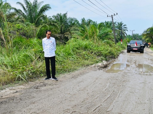 Momen Jokowi Tinjau Jalan Rusak Parah Penuh Kubangan Lumpur di Labuhanbatu Utara