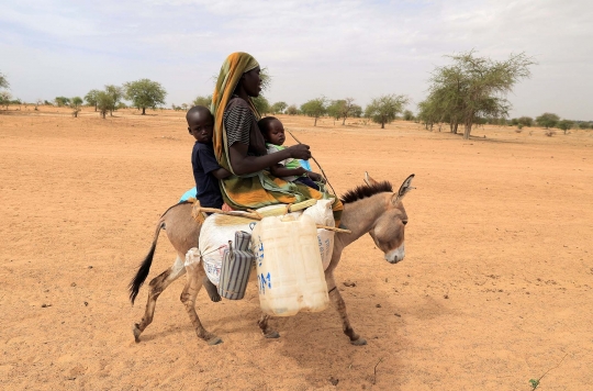 Perjuangan Warga Sudan Melarikan Diri dari Konflik Naik Keledai