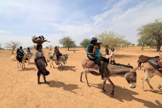 Perjuangan Warga Sudan Melarikan Diri dari Konflik Naik Keledai