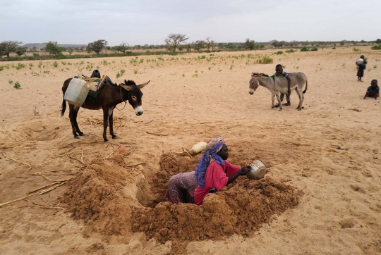 Perjuangan Warga Sudan Melarikan Diri dari Konflik Naik Keledai