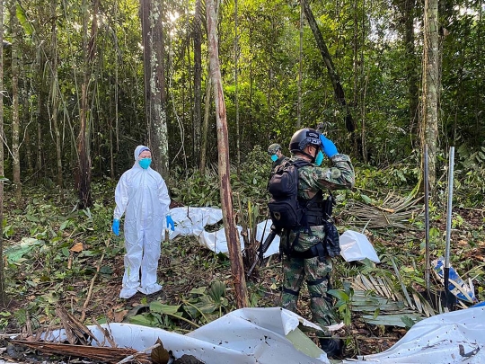 Misteri Nasib Anak-Anak Korban Pesawat Jatuh di Hutan Amazon, Sudah Dua Minggu Hilang