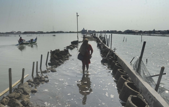 Derita Warga Timbulsloko, Dulu Tinggal di Daratan Kering Kini Terkepung Air Laut