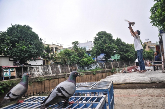 Bermain Burung di Bantaran Kali Ciliwung