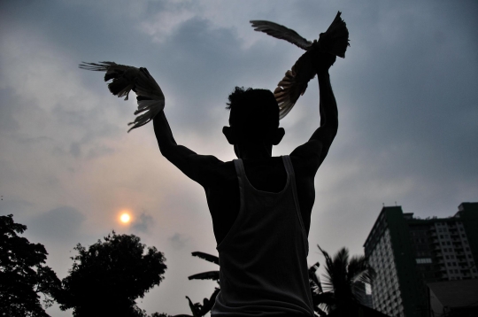 Bermain Burung di Bantaran Kali Ciliwung