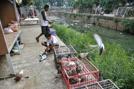 Bermain Burung di Bantaran Kali Ciliwung