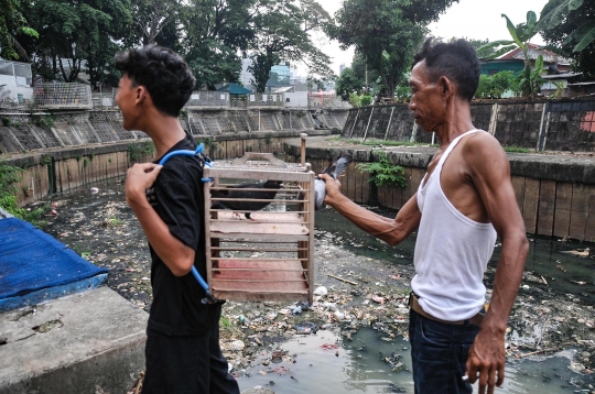 Bermain Burung di Bantaran Kali Ciliwung