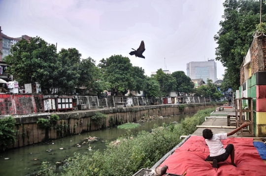 Bermain Burung di Bantaran Kali Ciliwung