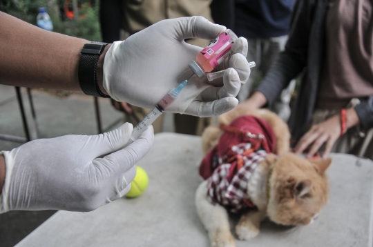 Sudin KPKP Jakarta Selatan Gelar Vaksin Rabies Gratis untuk Cegah Penyakit Menular