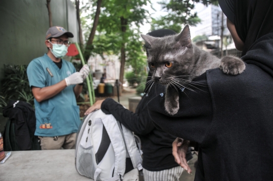 Sudin KPKP Jakarta Selatan Gelar Vaksin Rabies Gratis untuk Cegah Penyakit Menular