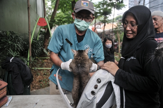 Sudin KPKP Jakarta Selatan Gelar Vaksin Rabies Gratis untuk Cegah Penyakit Menular