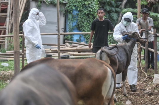 Jelang Iduladha, Pemeriksaan Kesehatan Hewan Kurban Digencarkan