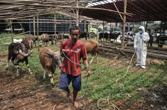 Jelang Iduladha, Pemeriksaan Kesehatan Hewan Kurban Digencarkan