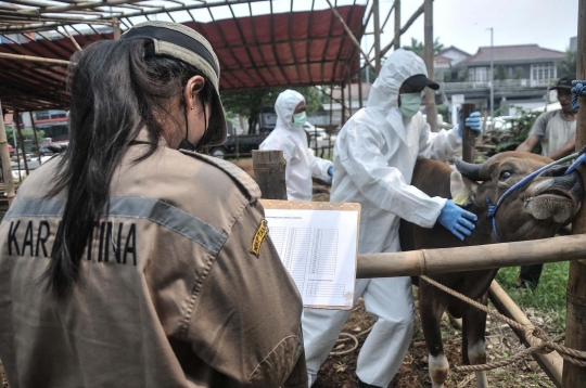 Jelang Iduladha, Pemeriksaan Kesehatan Hewan Kurban Digencarkan