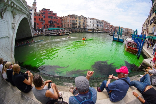 Misteri Perairan di Venesia Menghijau Akhirnya Terpecahkan, Ini Penyebabnya