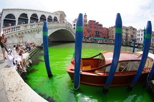 Misteri Perairan di Venesia Menghijau Akhirnya Terpecahkan, Ini Penyebabnya