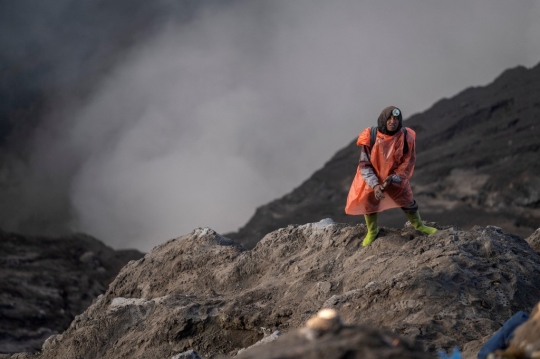 Menantang Maut Menangkap Sesajen Suku Tengger yang Dilempar ke Kawah Bromo