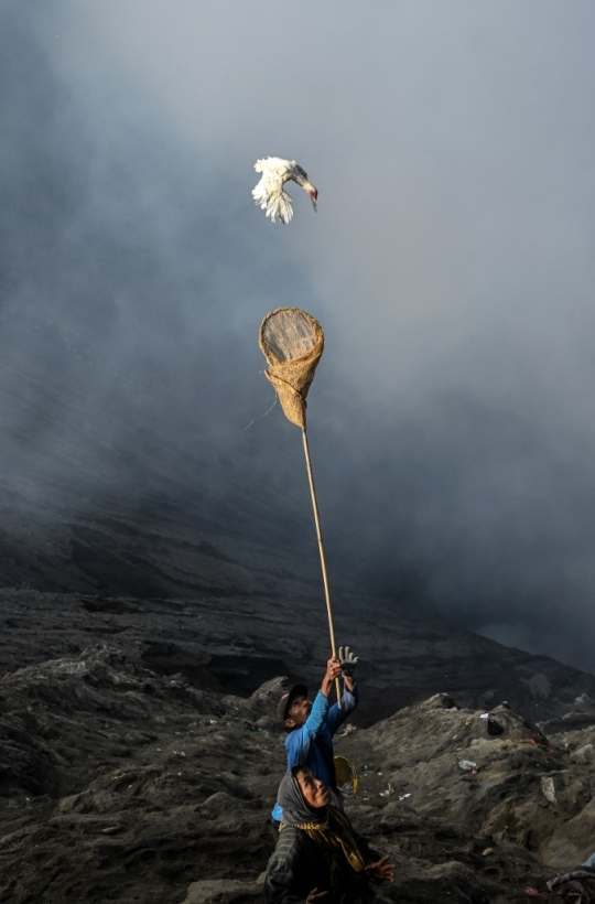 Menantang Maut Menangkap Sesajen Suku Tengger yang Dilempar ke Kawah Bromo