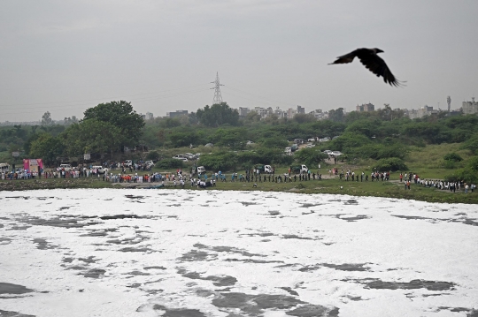 Ironi Sungai Yamuna di India, Dianggap Suci tapi Dipenuhi Limbah Busa Beracun