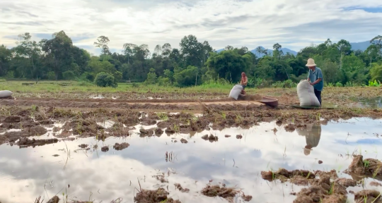 Pensiunan Jenderal Polri Bajak Sawah, Hidup Nikmat "Seruput Kopi Plus Singkong Rebus"