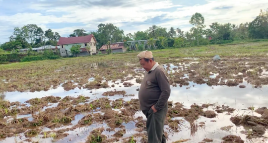 Pensiunan Jenderal Polri Bajak Sawah, Hidup Nikmat "Seruput Kopi Plus Singkong Rebus"