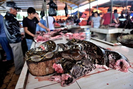 Ekstremnya Pasar Tomohon, Daging Ular Terfavorit Paling Laris Diburu Warga