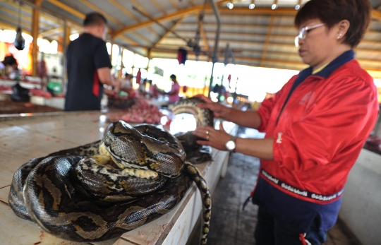 Ekstremnya Pasar Tomohon, Daging Ular Terfavorit Paling Laris Diburu Warga