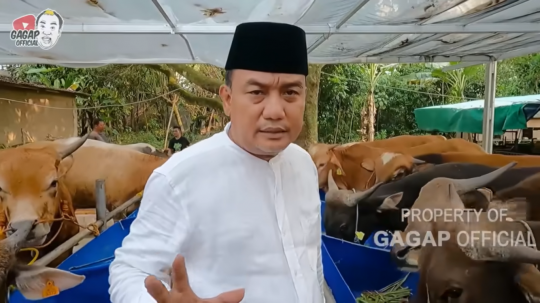 Sepi Job, Aziz Gagap Buka Lapak Jualan Sapi & Kambing untuk Kurban