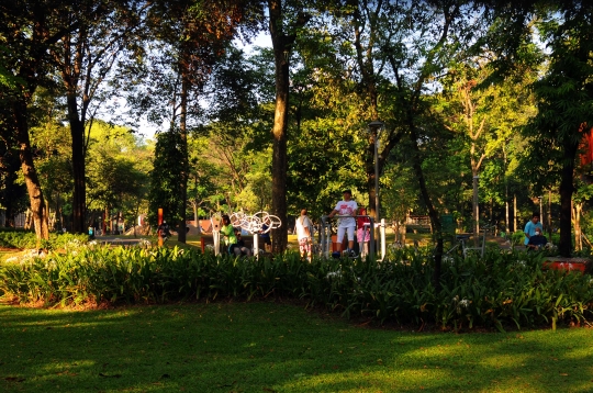 Tebet Eco Park Jadi Primadona Lokasi Bermain dan Berolahraga, Begini Cara Masuknya