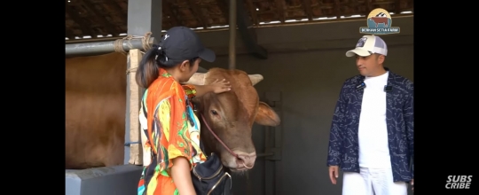 Soimah Teriak-teriak Histeris Dijilat Seekor Sapi 'Kau Lancang'