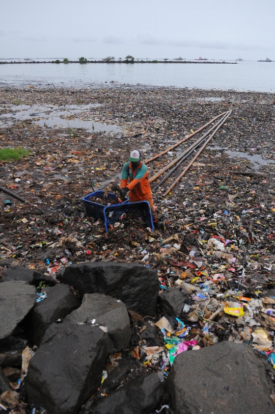 Perjuangan Petugas Angkut Berton-ton Sampah di Pesisir Utara Jakarta