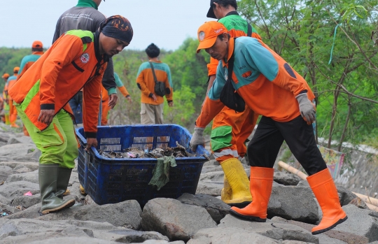 Perjuangan Petugas Angkut Berton-ton Sampah di Pesisir Utara Jakarta