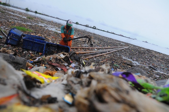 Perjuangan Petugas Angkut Berton-ton Sampah di Pesisir Utara Jakarta