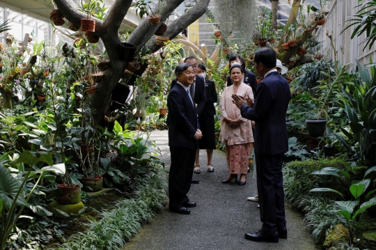 Momen Jokowi Sopiri Kaisar Jepang Keliling Kebun Raya Bogor hingga Tanam Pohon Gaharu