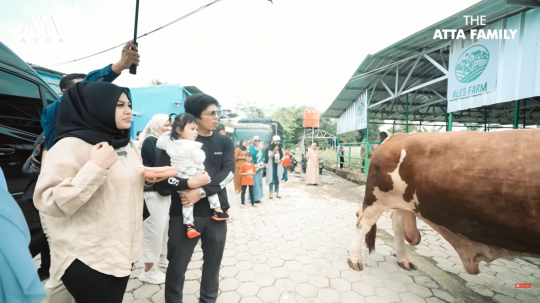 6 Potret Lucu Ameena Lihat Sapi di Peternakan, Ekspresinya Gemesin Banget!