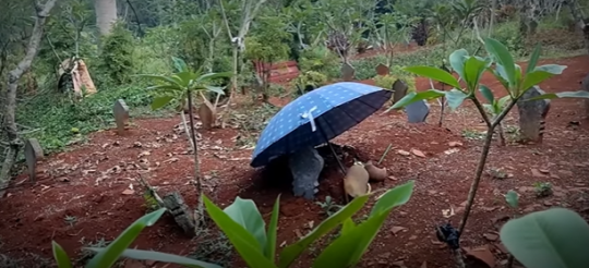 Terekam CCTV, Begini Suasana Malam di Kuburan Gadis yang Baru Meninggal