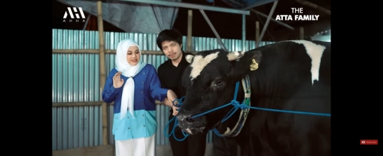 Potret Atta Halilintar Bareng Sapi Kurban Jumbo Seberat 1,4 Ton, Ameena Happy Banget